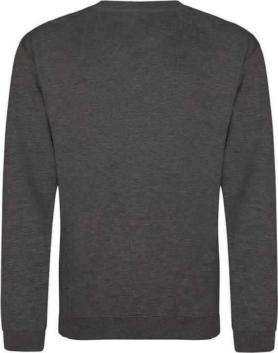 Actual product image Awdis Unisex Adult Sweatshirt (XS)