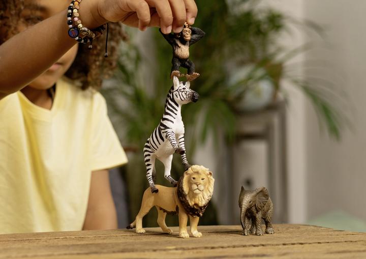 Actual product image Schleich Wild Life "Africa" Starter Set 42721