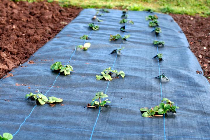 Produktbild Aquagart 180m² Bodengewebe Unkrautfolie Mulchfolie 100g 2m breit