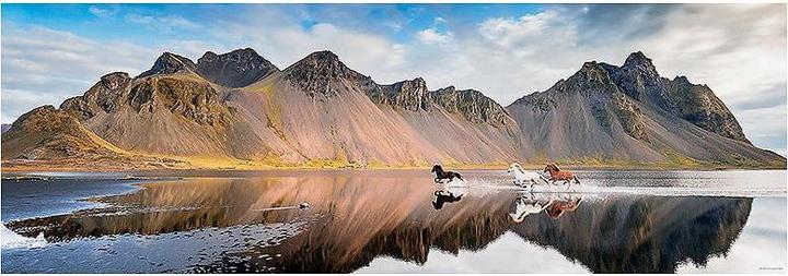 Image du produit Heye Iceland Horses Panorama pcs (1000 pièces)