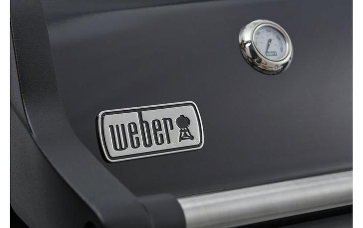 Produktbild Weber Spirit E-325S GBS (2024) (9.38 kW)
