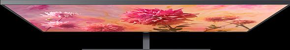 Image du produit Samsung Qe65q9fn (65", LCD, 4K, 2018)