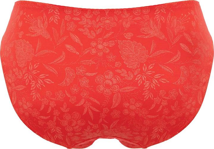 Immagine prodotto Ulla Slip Jasmine (36, S, Confezione singola)