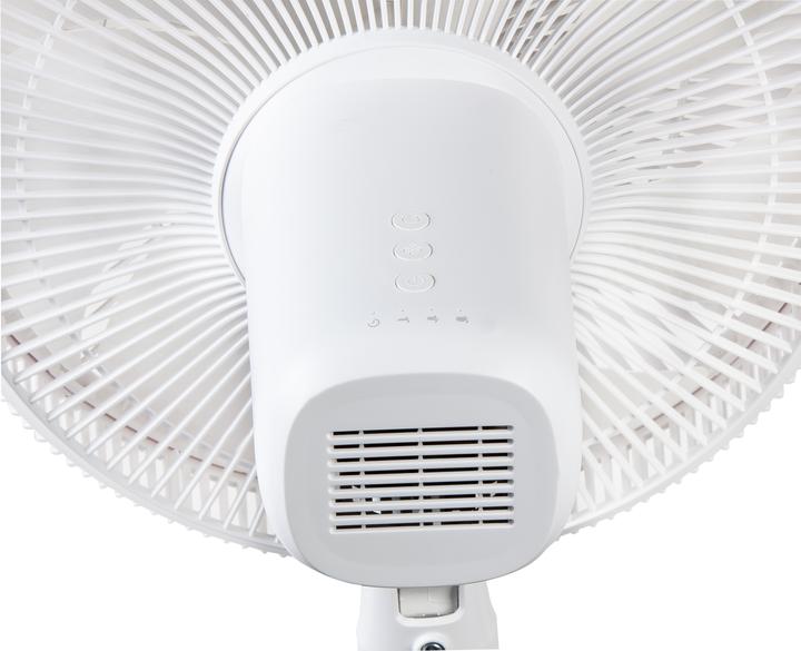 Actual product image Domo Standing Fan