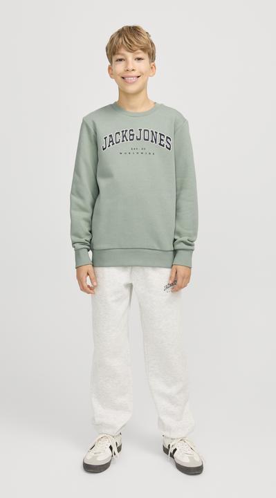 Immagine prodotto Jack & Jones Jjecaleb Varsity Sweat Crew Neck Sn Jnr (176)