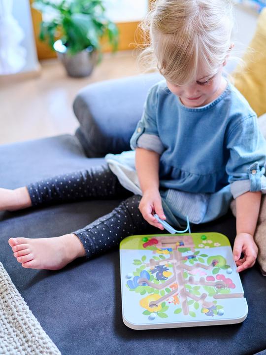 Actual product image Haba Magnet games