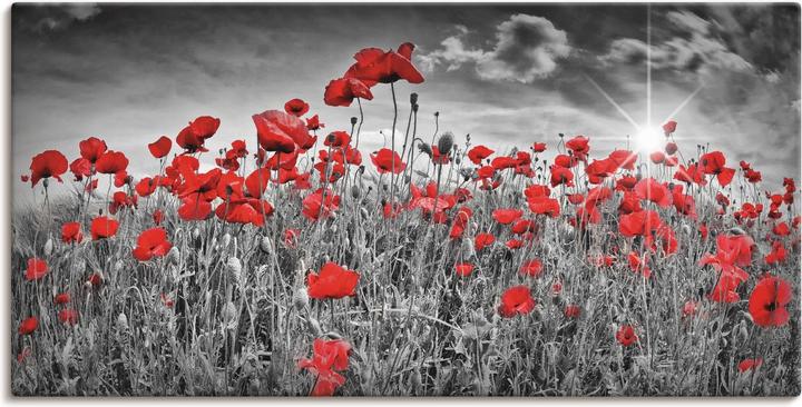 Immagine prodotto Artland Campo di papaveri idilliaco con sole S8HV (60 x 30 cm)