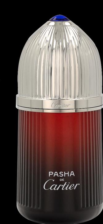 Immagine prodotto Cartier Pasha Edition Noire Sport Edt Spray (Eau de toilette, 100 ml)