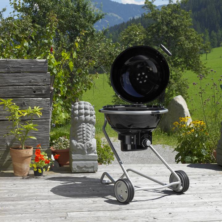 Actual product image Rösle F50 Air (50 cm)