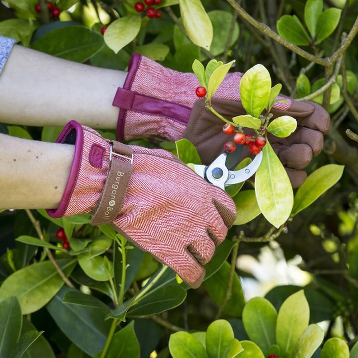 Produktbild Burgon & Ball Gartenhandschuhe (S, M)