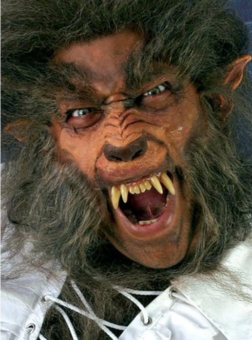 Image du produit Metamorph Loup-Garou