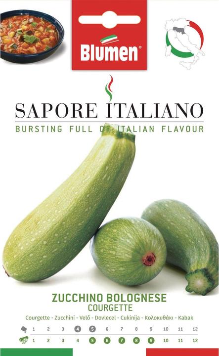 Immagine prodotto Blumen Zucchine alla bolognese (Semi di verdura)