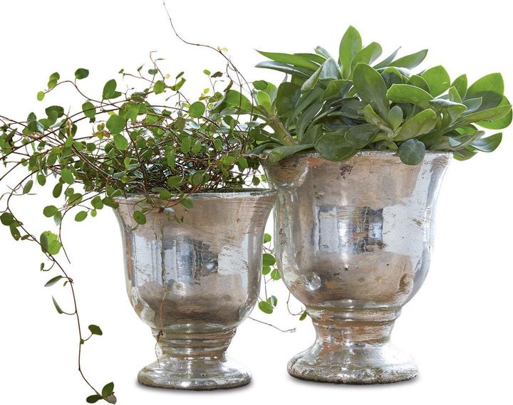 Actual product image Loberon Banon (16.50 cm)