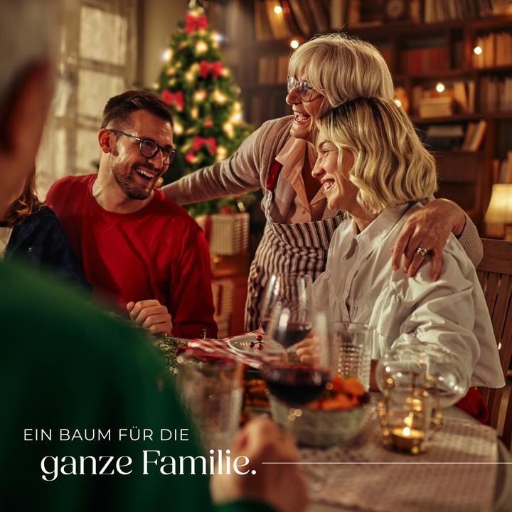 Produktbild tectake Weihnachtsbaum Dasher (210 cm)