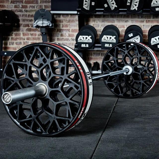 ATX Hantelscheibe -Technikscheibe - Abwurftraining (2 x 2.5 kg)