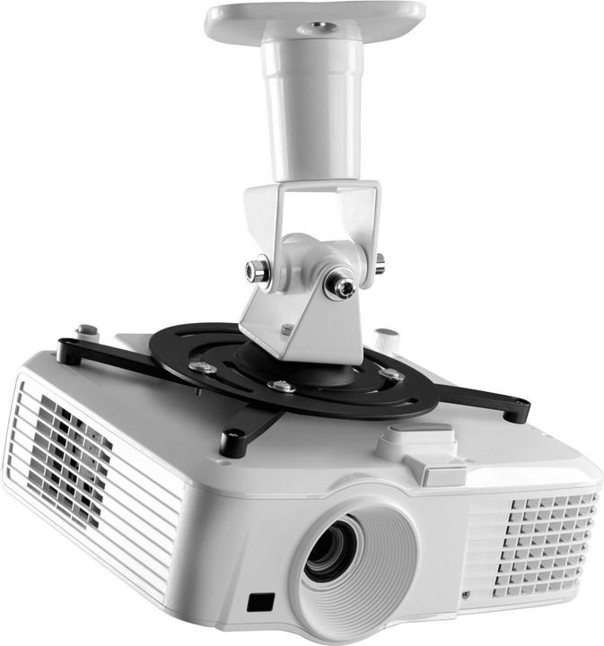 Actual product image One for All Solid WM5320 (Ceiling, Wall)