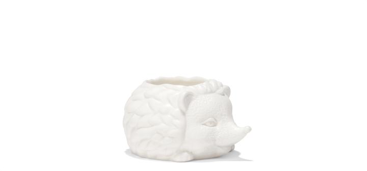 Produktbild Kikkerland Prickles The Hedgehog Planter (9.30 cm)