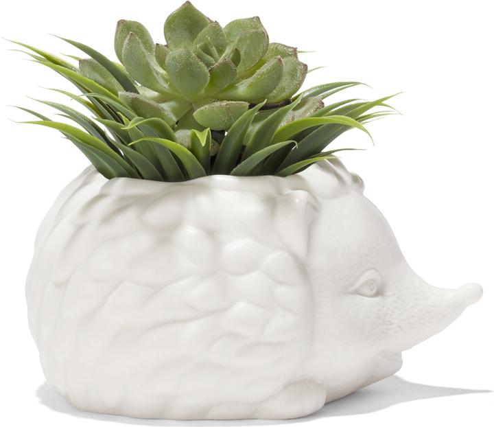 Produktbild Kikkerland Prickles The Hedgehog Planter (9.30 cm)