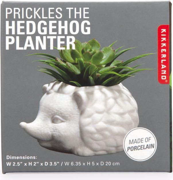Produktbild Kikkerland Prickles The Hedgehog Planter (9.30 cm)