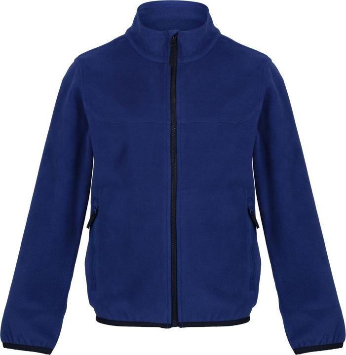 Bleu roi, Bleu marine