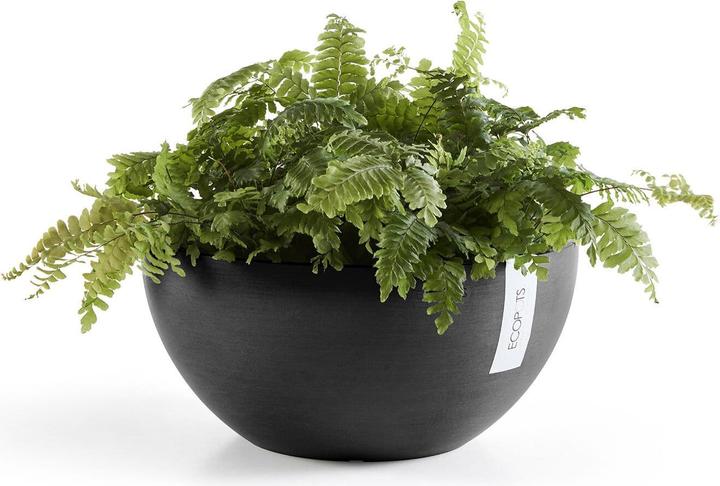 Actual product image Ecopots Brussels (25 cm)