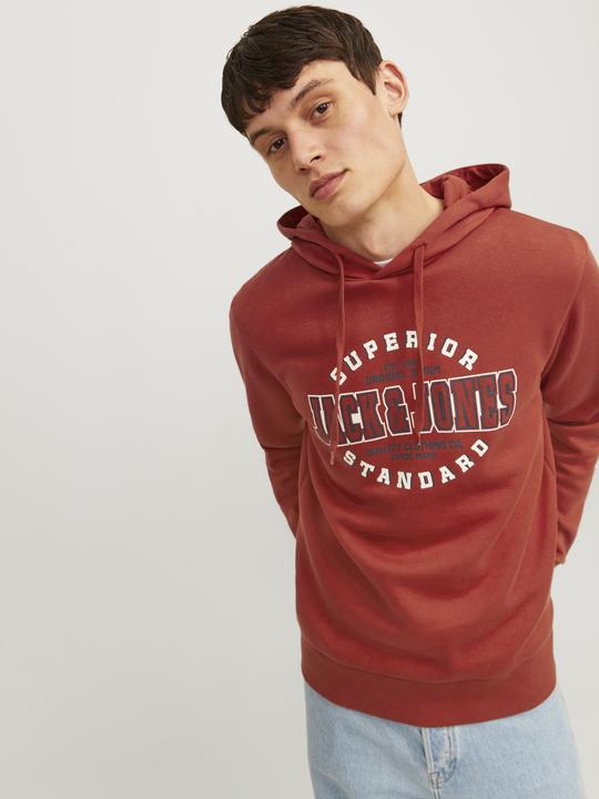 Produktbild Jack & Jones JJELOGO SWEAT HOOD 2 COL 24/25 NOOS (S)