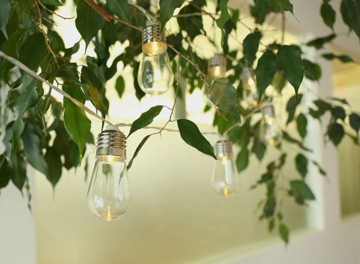 Actual product image Kikkerland Edison Bulb String Lights (2 m)