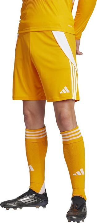 Actual product image adidas TIRO24 SHO (M)