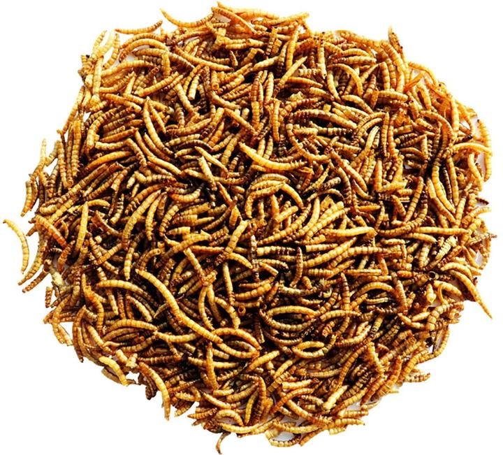 Image du produit Versele Laga Vers de farine séchés, 300g (1 x, 0.30 kg)