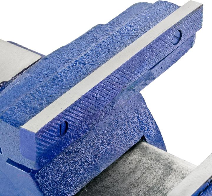 Actual product image Dema Vice 'Profi ' solid cast iron 200mm 36kg (200 mm)