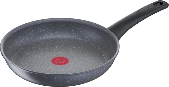 Actual product image Tefal TEF Pan 20cm (20 cm, Pan set + pot set, Aluminium)