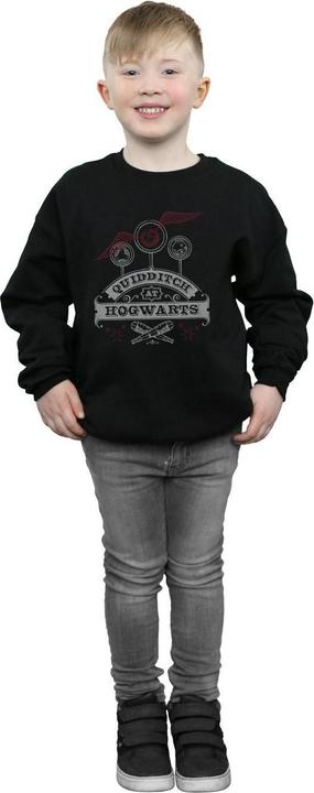 Actual product image Boys Quidditch At Hogwarts Sweatshirt (128)