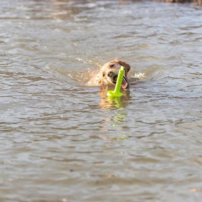 Image du produit Trixie Dog Activity Mot-Aqua 29cm (Jouet à lancer chien)