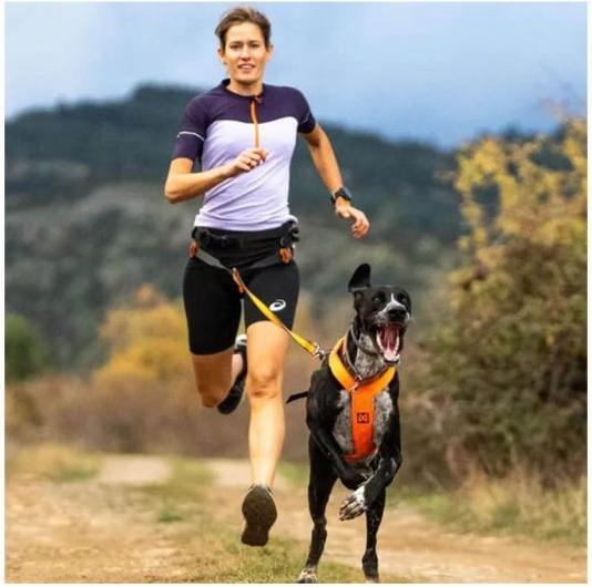 Actual product image Non-Stop Dogwear Freemotion Harness 5.0 (S, Dog, General)