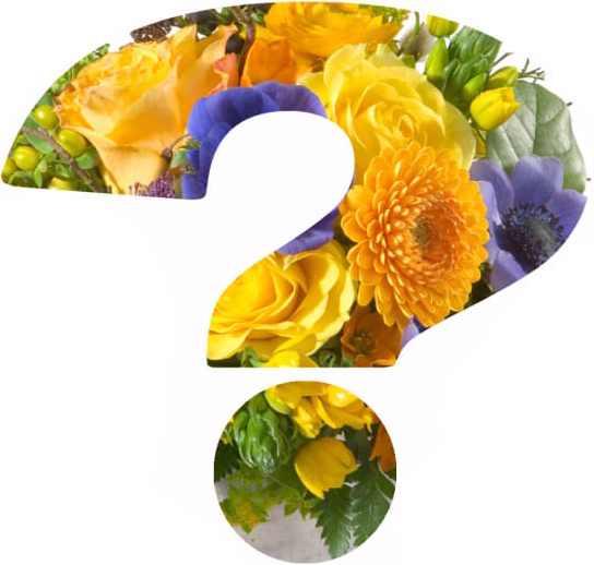 Image du produit Fleurop Bouquet surprise (Fleurs coupées)
