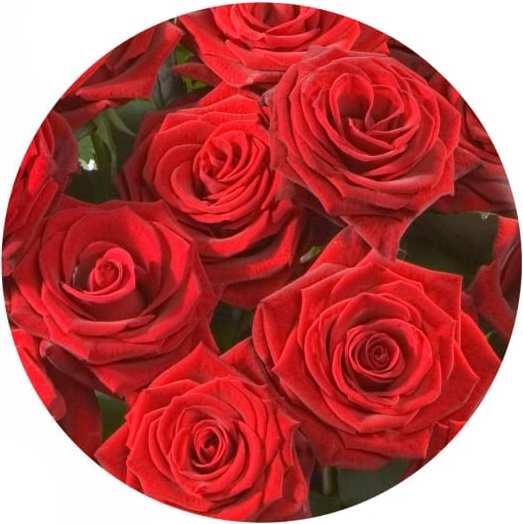 Produktbild Fleurop Strauss rote Rosen (Schnittblumen)