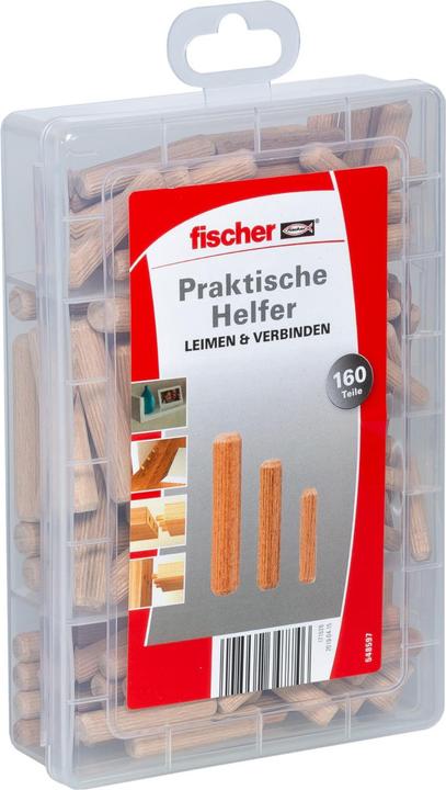 Image du produit Fischer Aides pratiques Glue & Connect, boîte d'assortiment avec 160 chevilles en bois, set pour des (160 pcs)