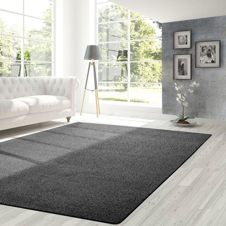 Image du produit Karat Lyon (50 x 300 cm)