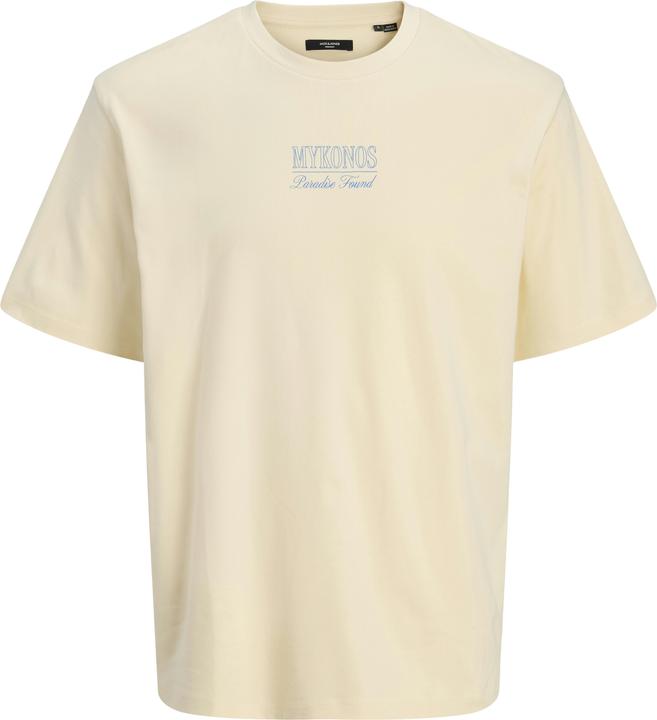 Jack & Jones Gedruckt Rundhalsausschnitt T-shirt T-shirt