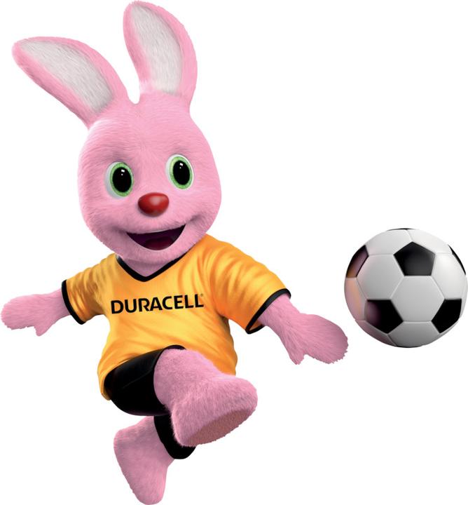 Actual product image Duracell Plus (4 pcs., AA, 2600 mAh)