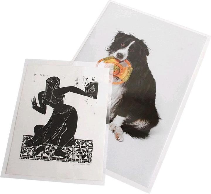 Immagine prodotto Safe Copertina per poster per formati A15 pz (A1, 5 x)