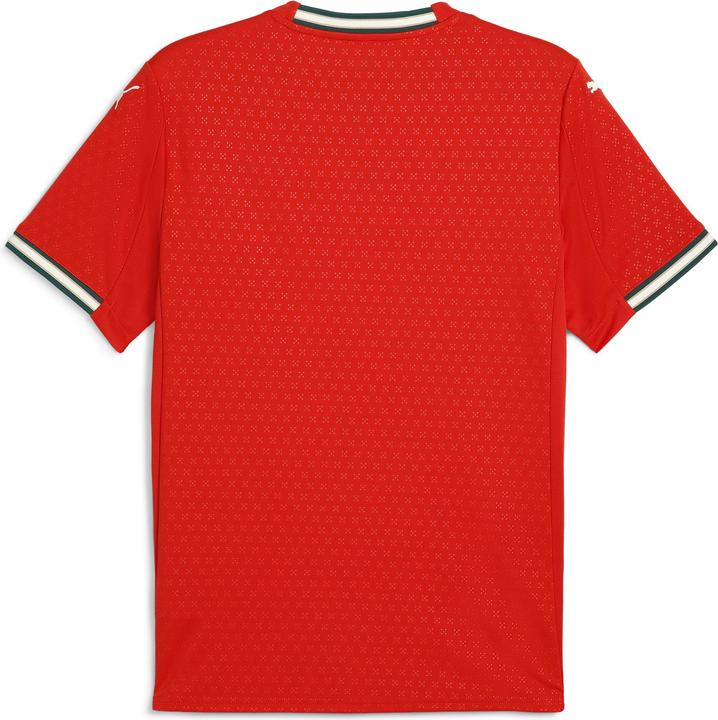 Immagine prodotto Puma Maglia FPF Home Replica (3XL)