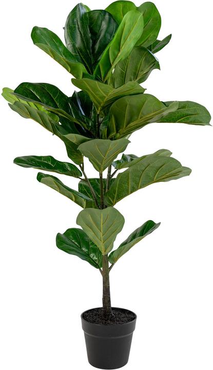 House Nordic Fiddle Leaf Tree (100 cm)