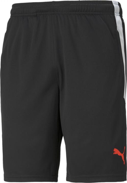 Puma teamLIGA Training Shorts (XS)