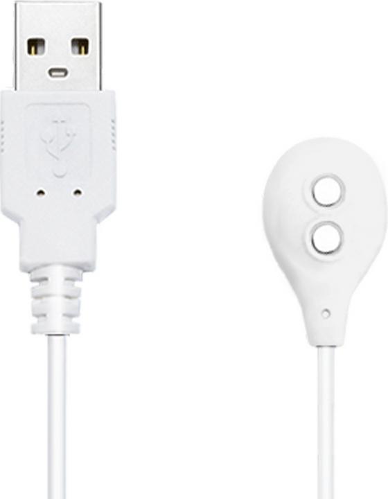 Actual product image Lovense Magnetisches Ladegerät