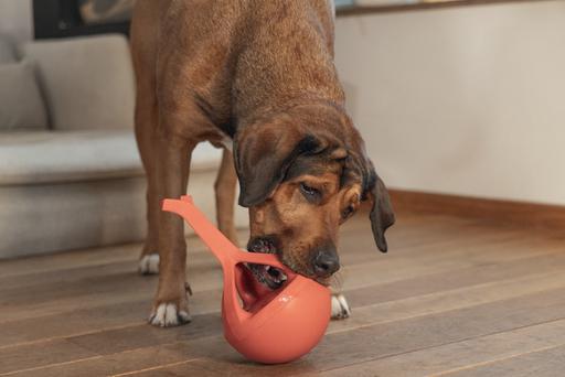 Image du produit Beeztees Jouet en caoutchouc pour chien Wiggle-X