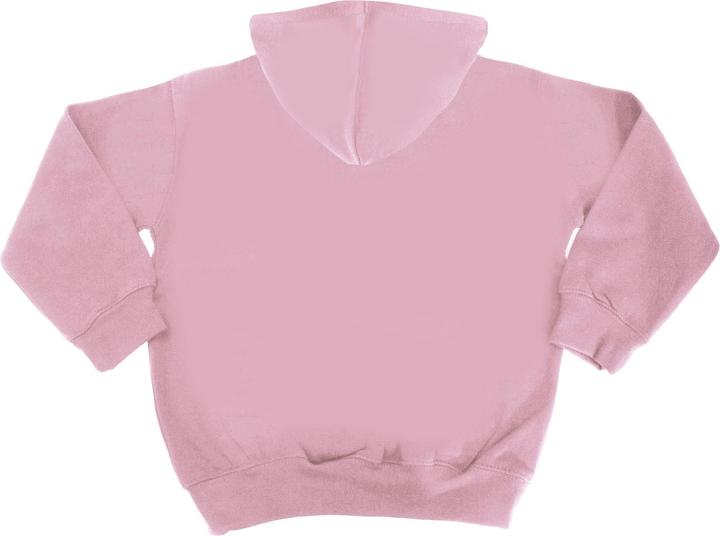 Produktbild Awdis Kapuzen Pullover Varsity (12, 13)