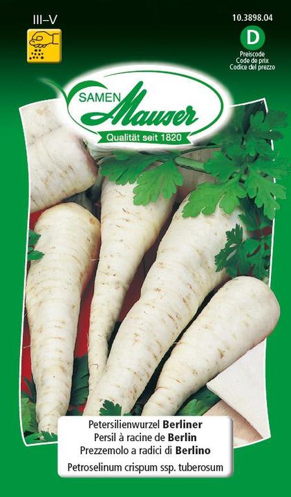 Actual product image Samen Mauser Parsley root doughnut (Herb seeds)