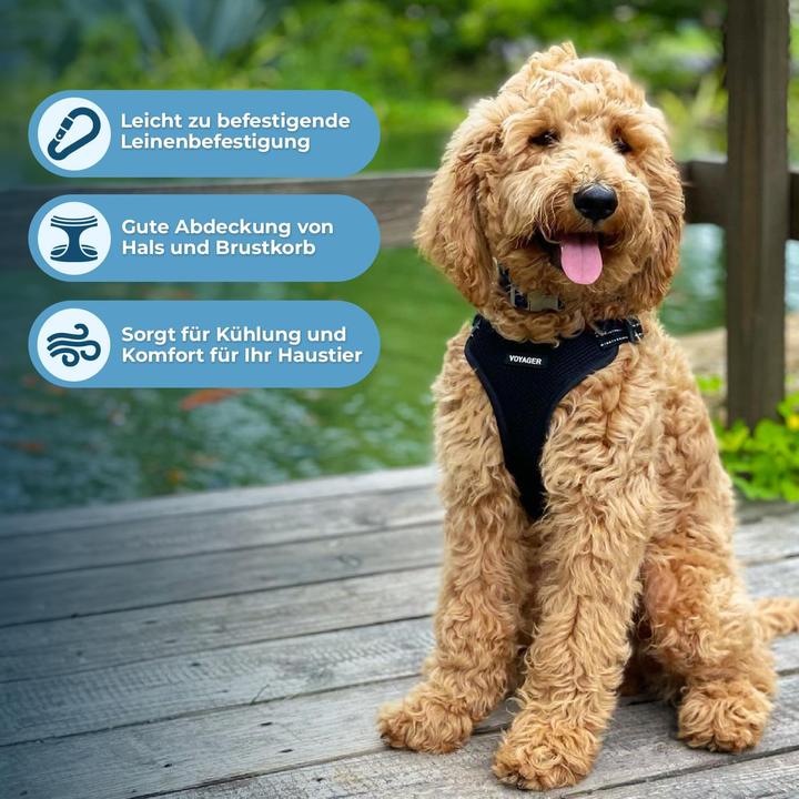 Actual product image Voyager Hundegeschirr mit Reflektorstreifen (L, Dog)