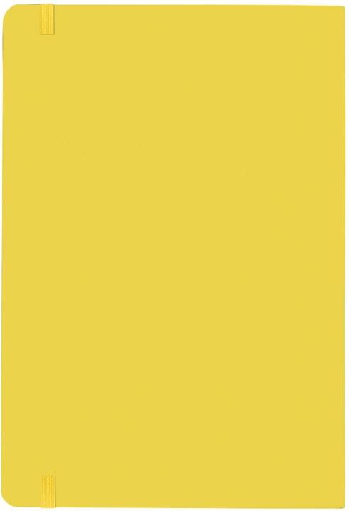 Actual product image Nuuna Notebook (13.5 x 20 cm, Dotted, Hardcover)